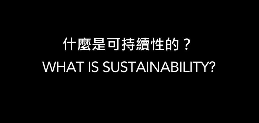 What is Sustainability?